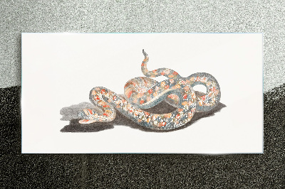 Snake pattern with colorful details Glass Print