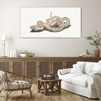 Snake pattern with colorful details Glass Print