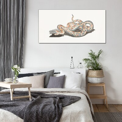 Snake pattern with colorful details Glass Print