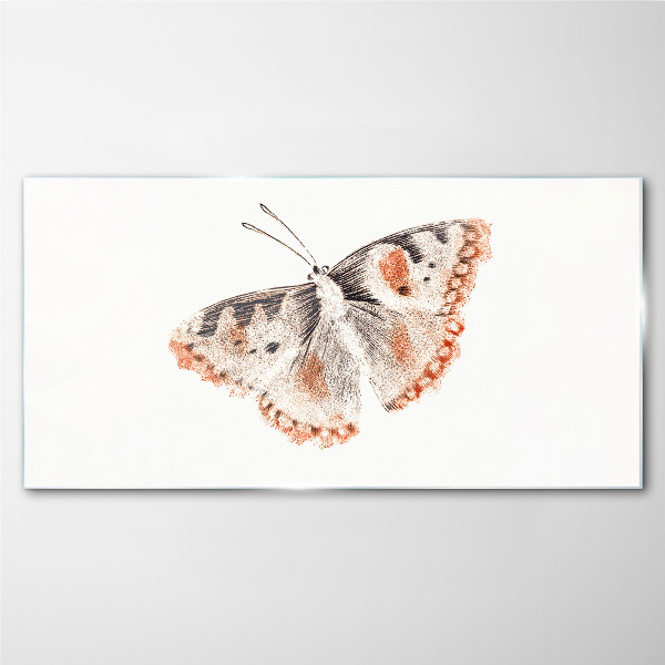 Butterfly on white background Glass Print