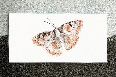 Butterfly on white background Glass Print