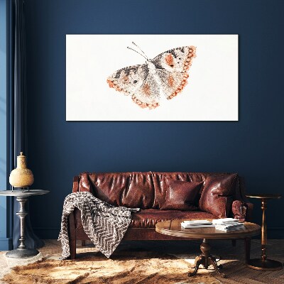 Butterfly on white background Glass Print