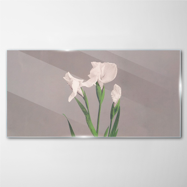 Flowers on a gray background Glass Print