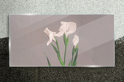 Flowers on a gray background Glass Print