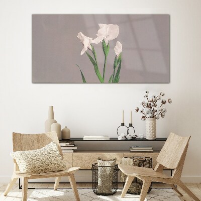 Flowers on a gray background Glass Print