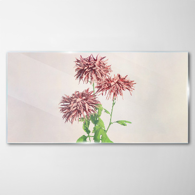 Floral inspirations in delicate shades Glass Print