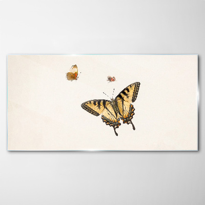 Butterflies in delicate harmony Glass Print