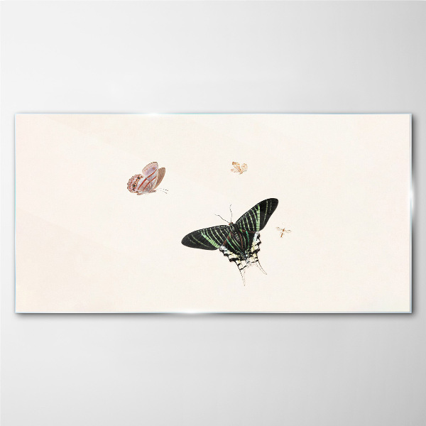 Modern bug insect butterfly Glass Print