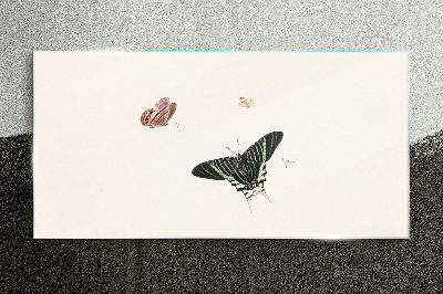 Butterflies in a delicate dance Glass Print