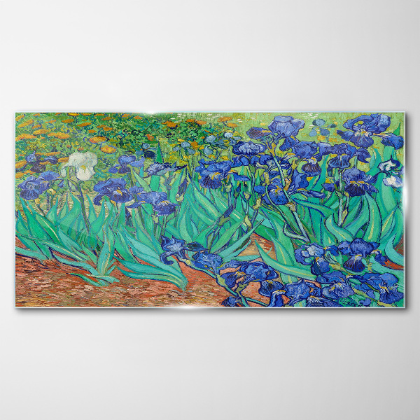 Irises in Bloom Glass Print