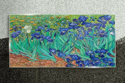 Irises in Bloom Glass Print