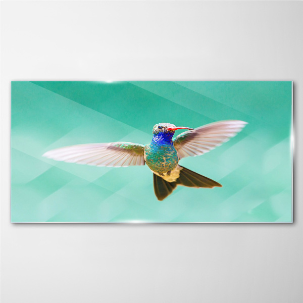 Hummingbird in blue background Glass Wall Art