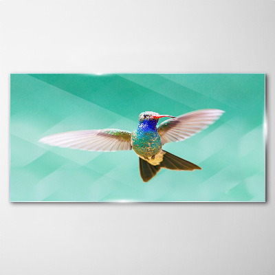 Hummingbird in blue background Glass Wall Art