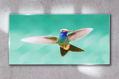 Hummingbird in blue background Glass Wall Art