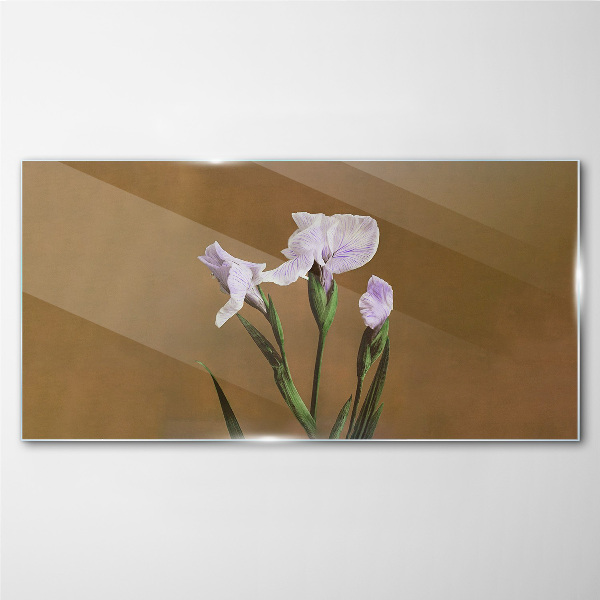 Iris flowers on a brown background Glass Print