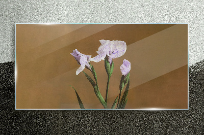 Iris flowers on a brown background Glass Print
