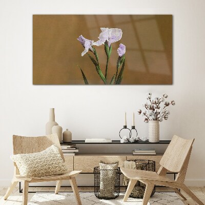 Iris flowers on a brown background Glass Print