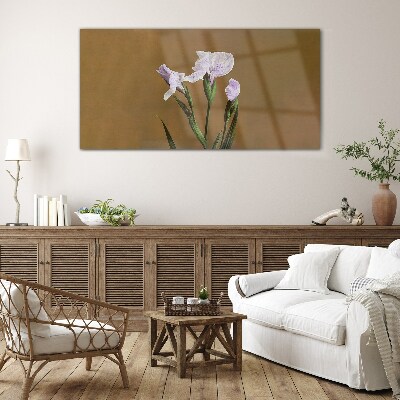 Iris flowers on a brown background Glass Print