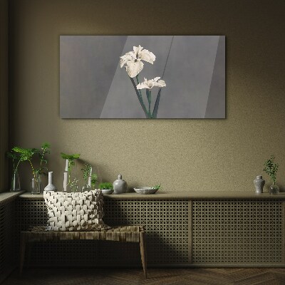 White irises on a gray background Glass Print
