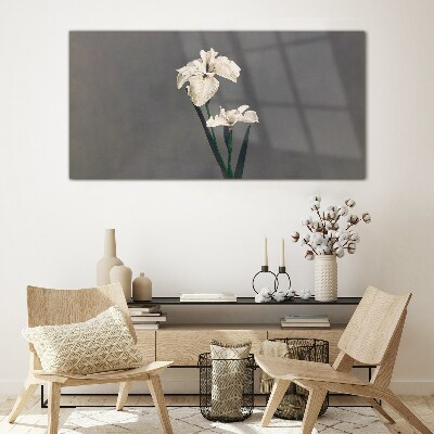 White irises on a gray background Glass Print