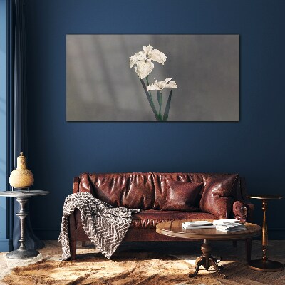 White irises on a gray background Glass Print