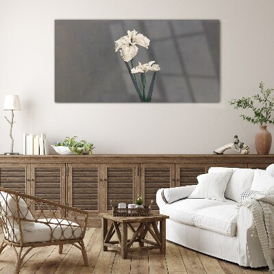 White irises on a gray background Glass Print
