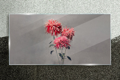 Pink flowers on a gray background Glass Print