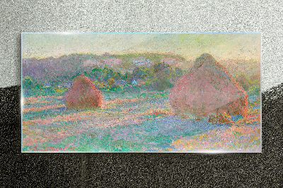 Hay harvest in the morning light Glass Print