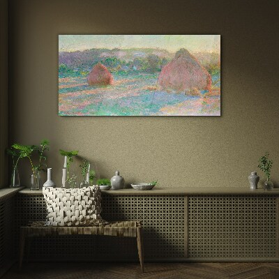Hay harvest in the morning light Glass Print