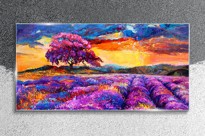 Purple lavender fields at sunset Glass Print