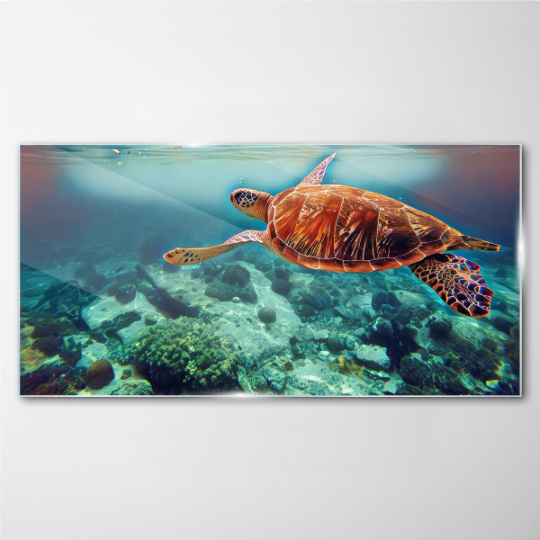 Turtle in Tranquil Waters Glass Wall Art