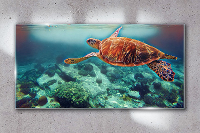 Turtle in Tranquil Waters Glass Wall Art