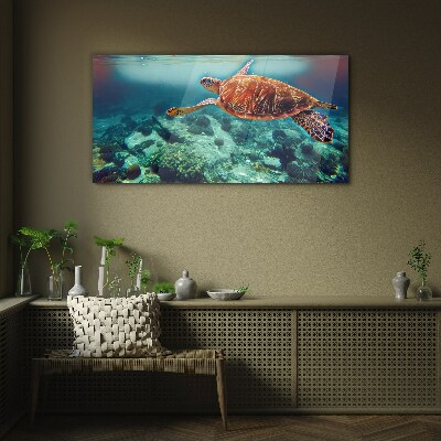 Turtle in Tranquil Waters Glass Wall Art