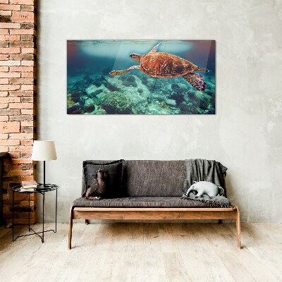 Turtle in Tranquil Waters Glass Wall Art