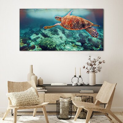 Turtle in Tranquil Waters Glass Wall Art