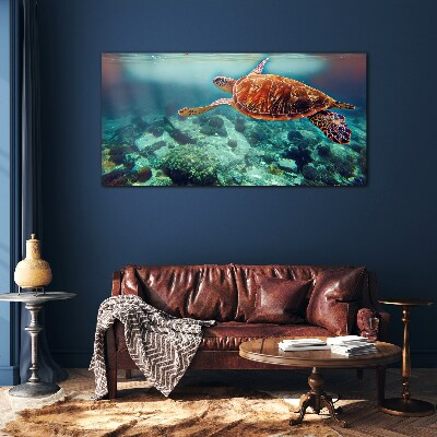 Turtle in Tranquil Waters Glass Wall Art
