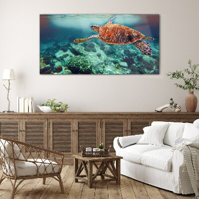 Turtle in Tranquil Waters Glass Wall Art