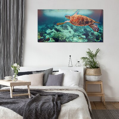 Turtle in Tranquil Waters Glass Wall Art
