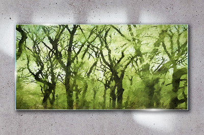 Green forests in misty light Glass Wall Art