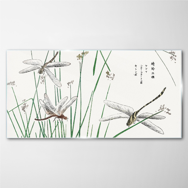 Slender dragonflies in green surroundings Glass Print
