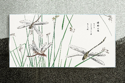 Slender dragonflies in green surroundings Glass Print
