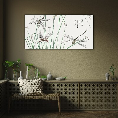 Slender dragonflies in green surroundings Glass Print