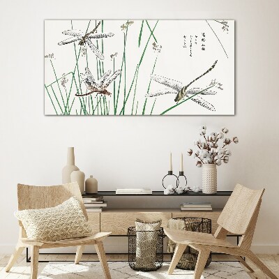 Slender dragonflies in green surroundings Glass Print