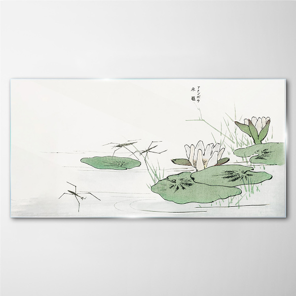 Water lilies on the pond Glass Print