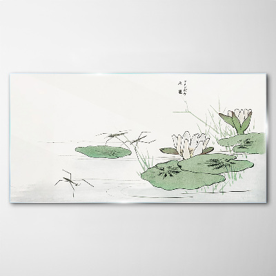 Water lilies on the pond Glass Print