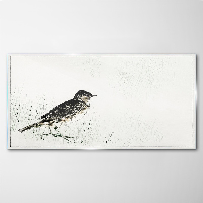 Bird on the grass background Glass Print