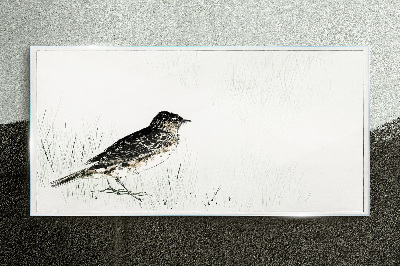 Bird on the grass background Glass Print