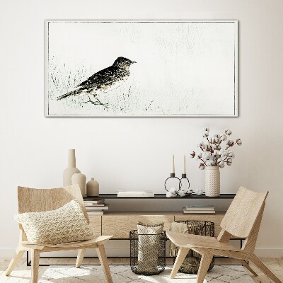 Bird on the grass background Glass Print