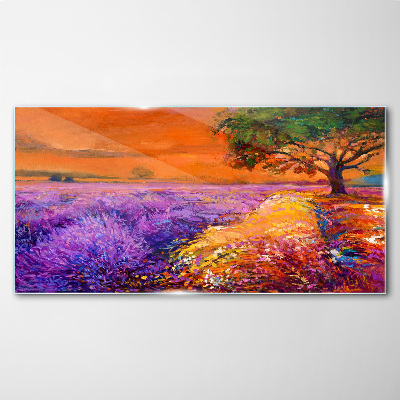 Lavender fields in sunset Glass Print