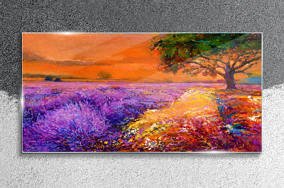Lavender fields in sunset Glass Print
